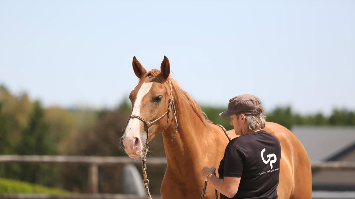 755952319 1070830725340178 1308804550647165934 n