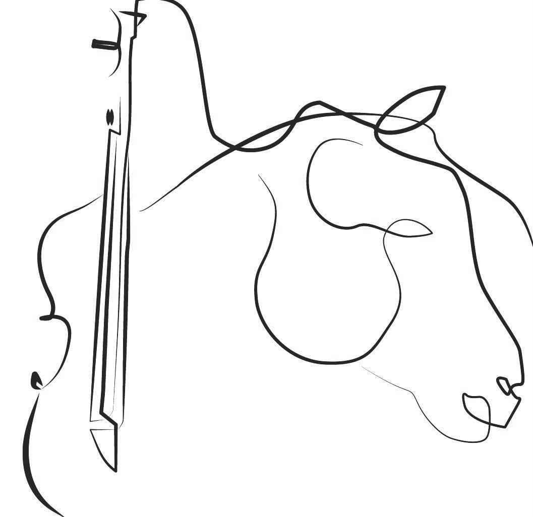 Amazone violoniste