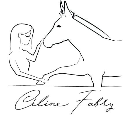 Celine fabry