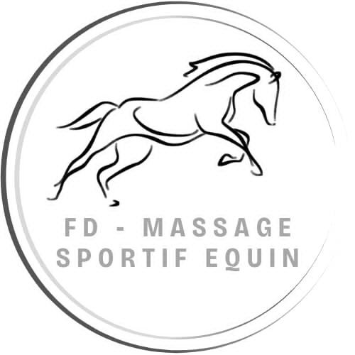 Fd massage sportif equin