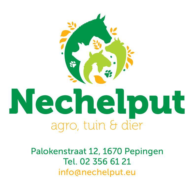 Nechelput