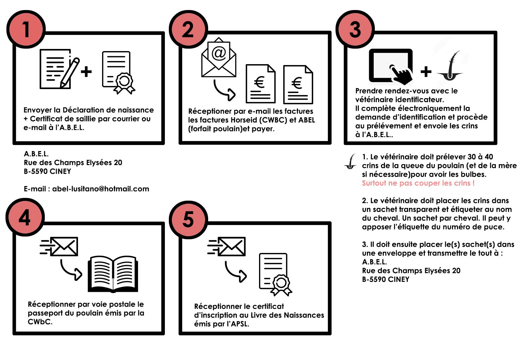 Déclaration de Naissance