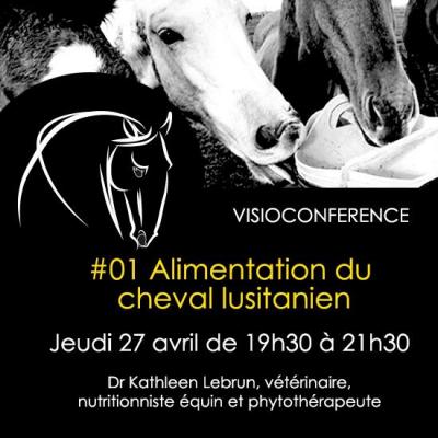 Visio 01 produit 1